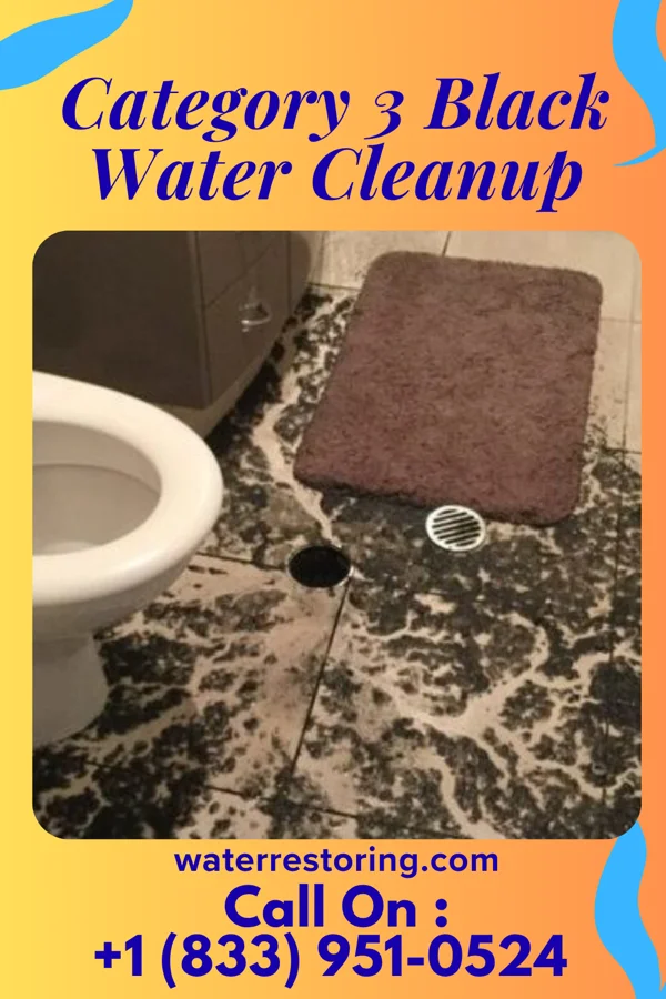 Category 3 Black Water Cleanup in Earlham, IA