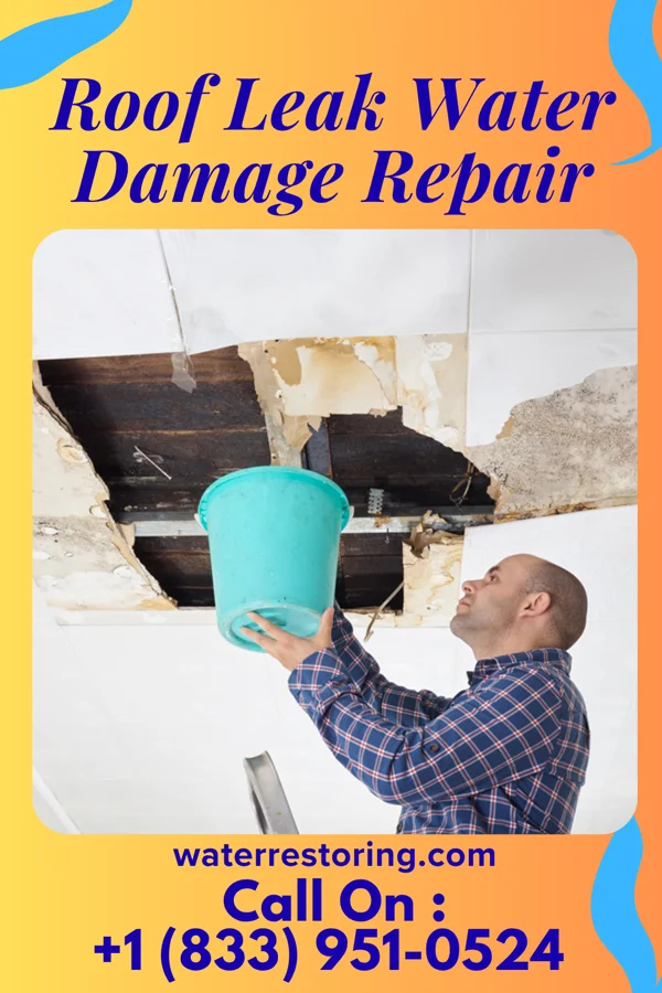 Roof Leak Water Damage Repair in Earlham, IA
